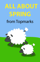 All About Spring