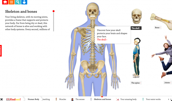 Screen capture from Human Body section