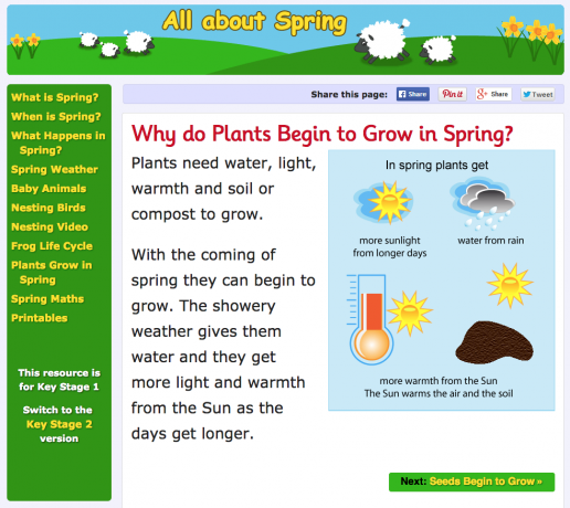 Why do plants begin to grow in Spring?