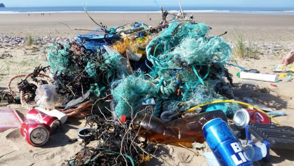 The Plastic Tide, Zooniverse