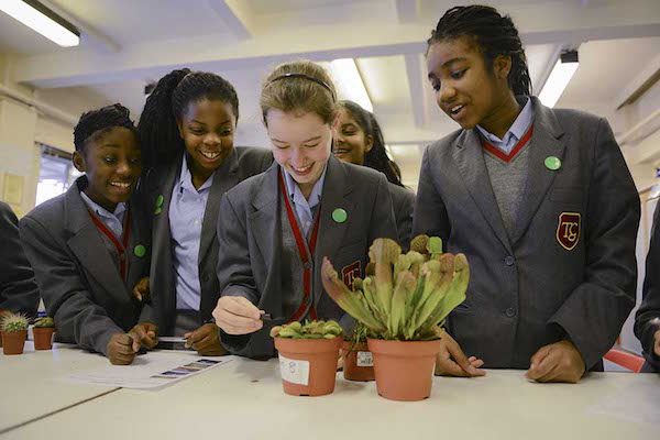 RHS Campaign for School Gardening