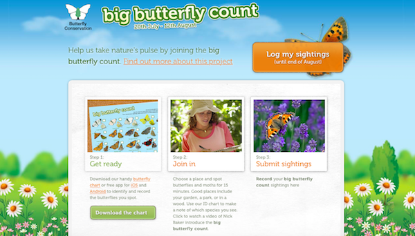 Big Butterfly Count, survey 2018