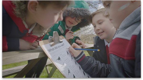 RSPB Big Schools' Birdwatch 2019