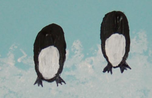 Draw the penguins' feet